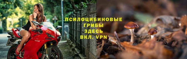 наркотики Новозыбков
