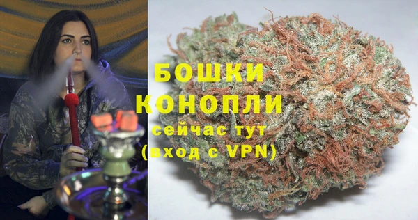 стафф Новокубанск