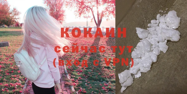 дживик Нея