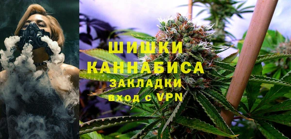 стафф Новокубанск