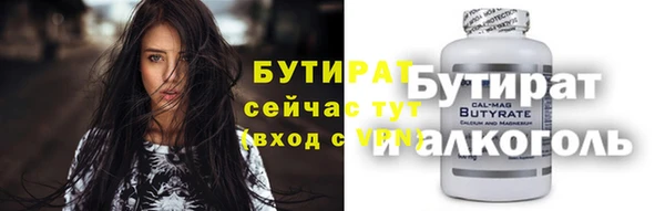 хмурый Болотное