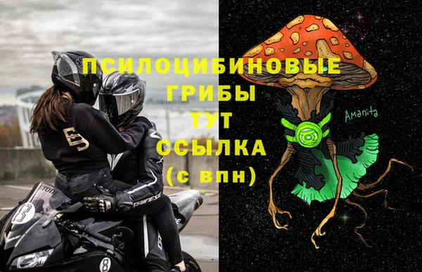 наркотики Новозыбков