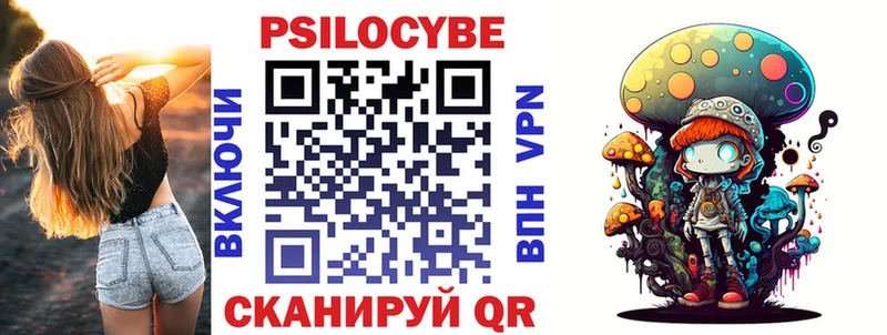Галлюциногенные грибы Psilocybe  Палласовка 